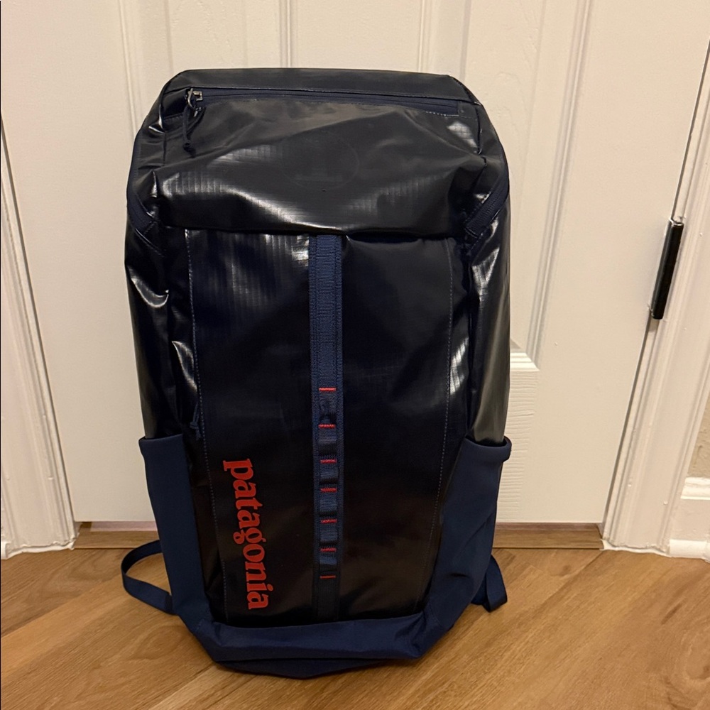 Patagonia Dark Blue Men's Backpack